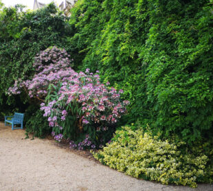 Using plants
