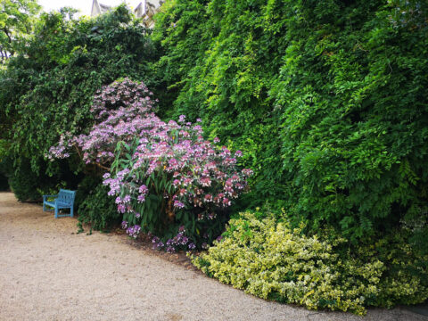 Using plants
