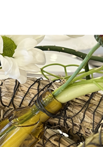 Udržateľný Dizajn